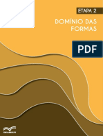 Etapa 2 – Dominio Das Formas