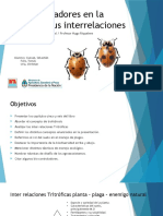 Biocontroladores en La Huerta y Sus Interrelaciones: Autores: Magister Nélida Granval / Profesor Hugo Riquelme