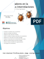 Biocontrol en huertas y sus interrelaciones