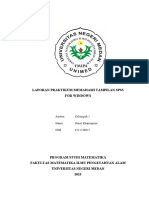 Laporan Praktikum Penggunaan Spss