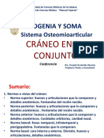 Ontogenia Y Soma: Sistema Osteomioarticular