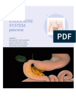 Endocrine System Pancreas