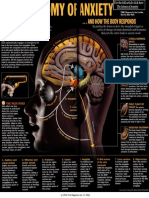 Anatomy of Anxiety