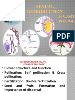 Sexual Reproduction: in Plants in Human