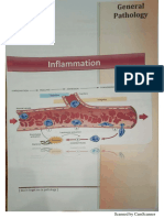 Inflammation - @medicine - Way2