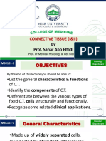 Connective Tissue Histology Guide