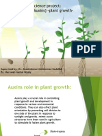 Slide 1: Auxins