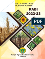 Rabi 2022-23: Package of Practices For Crops of Punjab