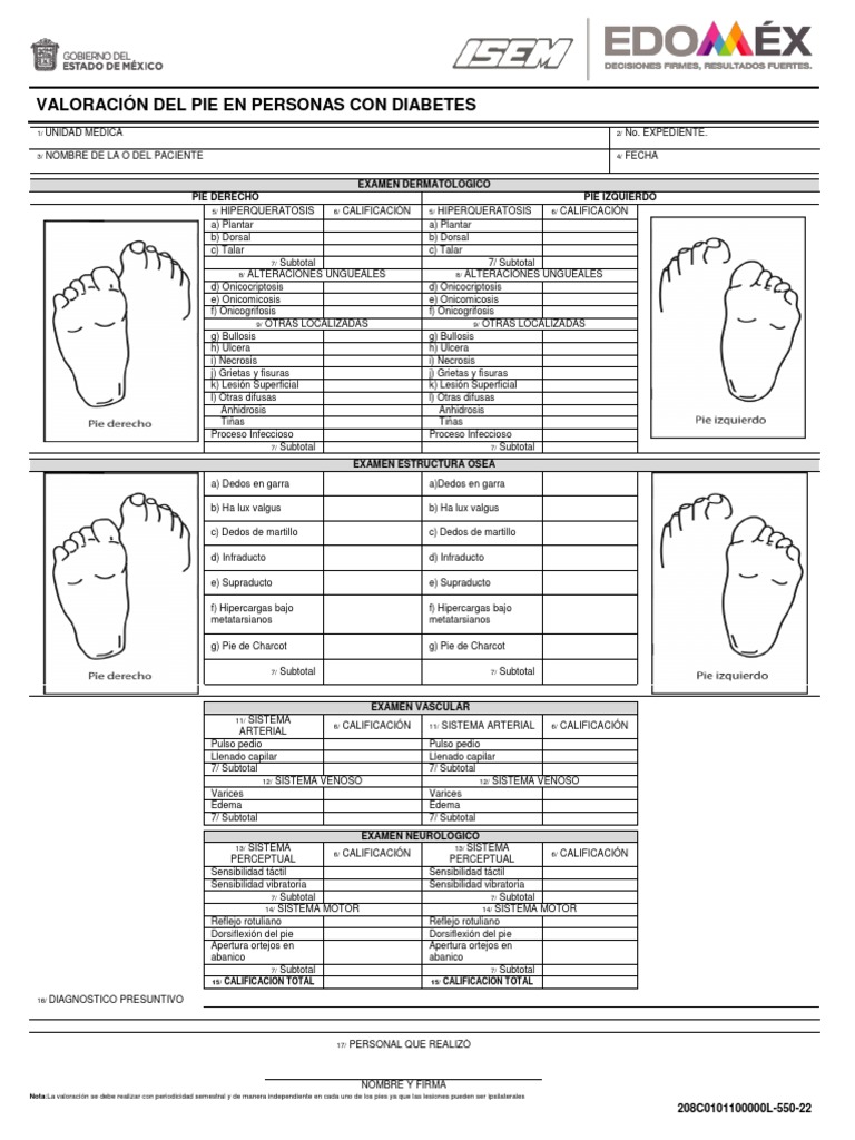 Valoración de Pie ISEM PDF Ciencias de la Salud Enfermedades y