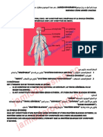 Le Système Nerveux Résumé Jami3dorosmaroc