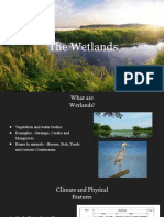Biology Wetlands