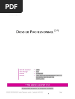 mod-le-vierge-de-dossier-professionnel-pdf-business