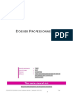 Exemple Dossier Pro 2