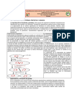 Guia deREPRODUCCION EN PROTISTOS, BACTERIAS Y HONGOS. Octavo. 2. Primer Periodo