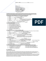 GLOBAL ENGLISH EXAM - 6th YEAR TEST