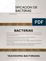 Clasificacion de Las Bacterias
