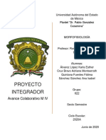 AC M IV - Cuadro Comparativo (Morfofisiología)