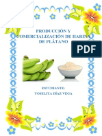 Prpyecto Elanoracion y Comerckializacion de Harina de Platano