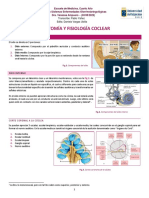 Anatomía y Fisiología Coclear