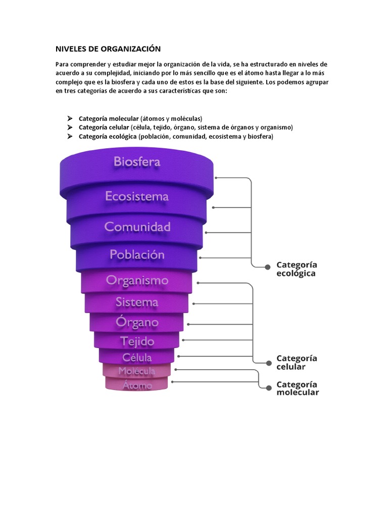 Niveles de Organización de la Vida | PDF