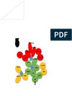 Diagrama de Circulación