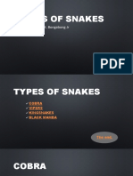 Types of Snakes: By: Consorcio K. Bongabong JR