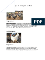 Principais Raças de Aves para Postura