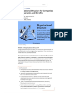Organizational Structure For Companies With Examples and Benefits