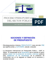 Proceso Presupuestario Del Sector Público: CPC Michel E. Tejada Güiza