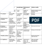 Bacteria Pathogens