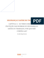 Capítulo 2 - Se Temos Direito À Proteção Das Normas de Segurança e Saúde Do Trabalho, Por Que Não Cumpri-Las