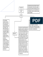 Mapa Conceptual