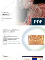 Morfofisiología Del Sistema Óseo y Muscular