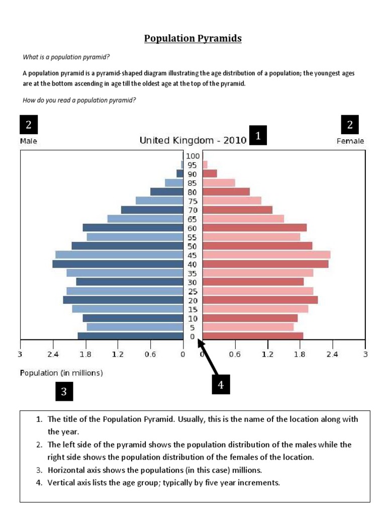 Population Pyramid Worksheet | PDF | Economies | Human Development