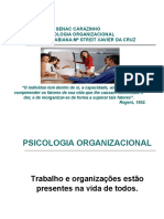 Psicologia Organizacional no Trabalho