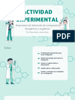 Actividad Experimental