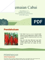 Persemaian Cabai: Tiara Wulan, S. P 198908072020122012 Penyuluh Pertanian Ahli Pertama UPTD PKP Cisarua