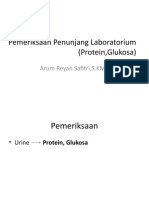 Pemeriksaan Penunjang Laboratorium (Protein, Glukosa)