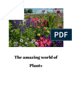 The Amazing World of Plants