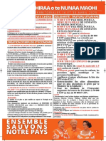 Territoriales 2023: Le Programme Du Parti Amuitahiraa o Te Nunaa Maohi