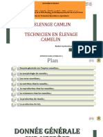 elevage camelin réalisé par Mme EL MERABET