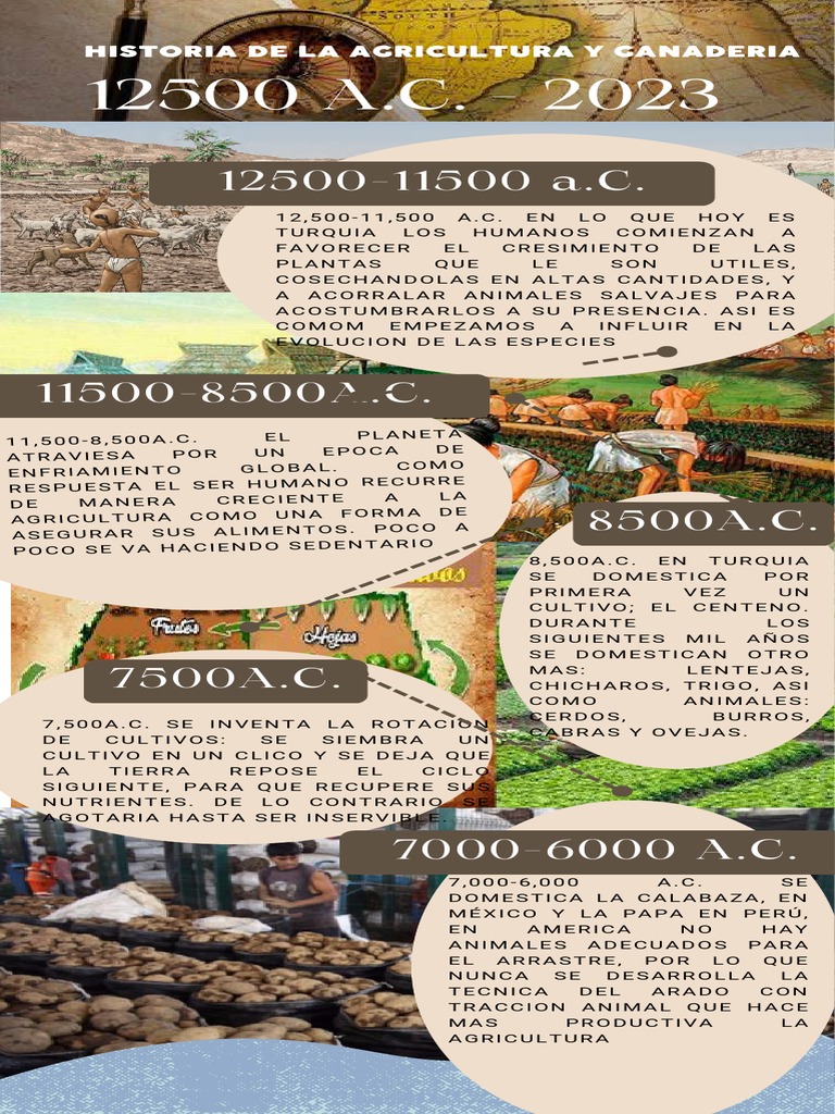 Historia de la Agricultura y Ganadería | PDF | Agricultura | Comida y ...