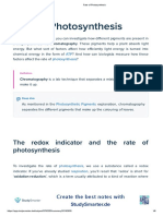 Rate of Photosynthesis