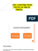 PRACTICES FOR TRAINING AND PRUNING FRUIT TREES