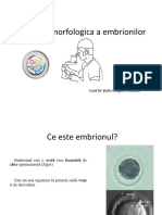 Evaluarea Morfologica A Embrionilor