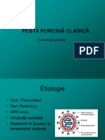 PPC PDF
