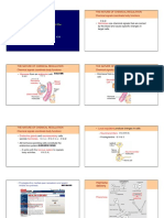 Ch26 Hormones and The Endocrine System