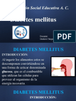 Creación Social Educativa A. C.: Diabetes Mellitus
