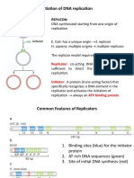 Initiation of DNA Replication: Replicon