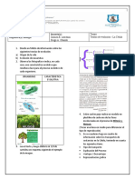 Plan de Mejoramiento Académico SEPTIMOS